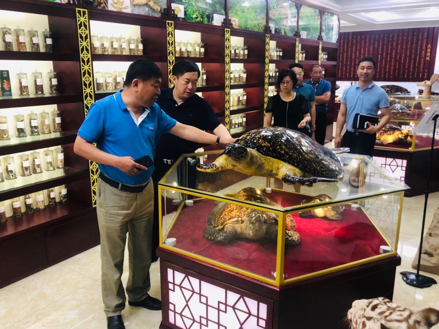 吉林省商務(wù)廳副廳長劉乃軍帶隊考察吉林省北藥藥材加工有限公司